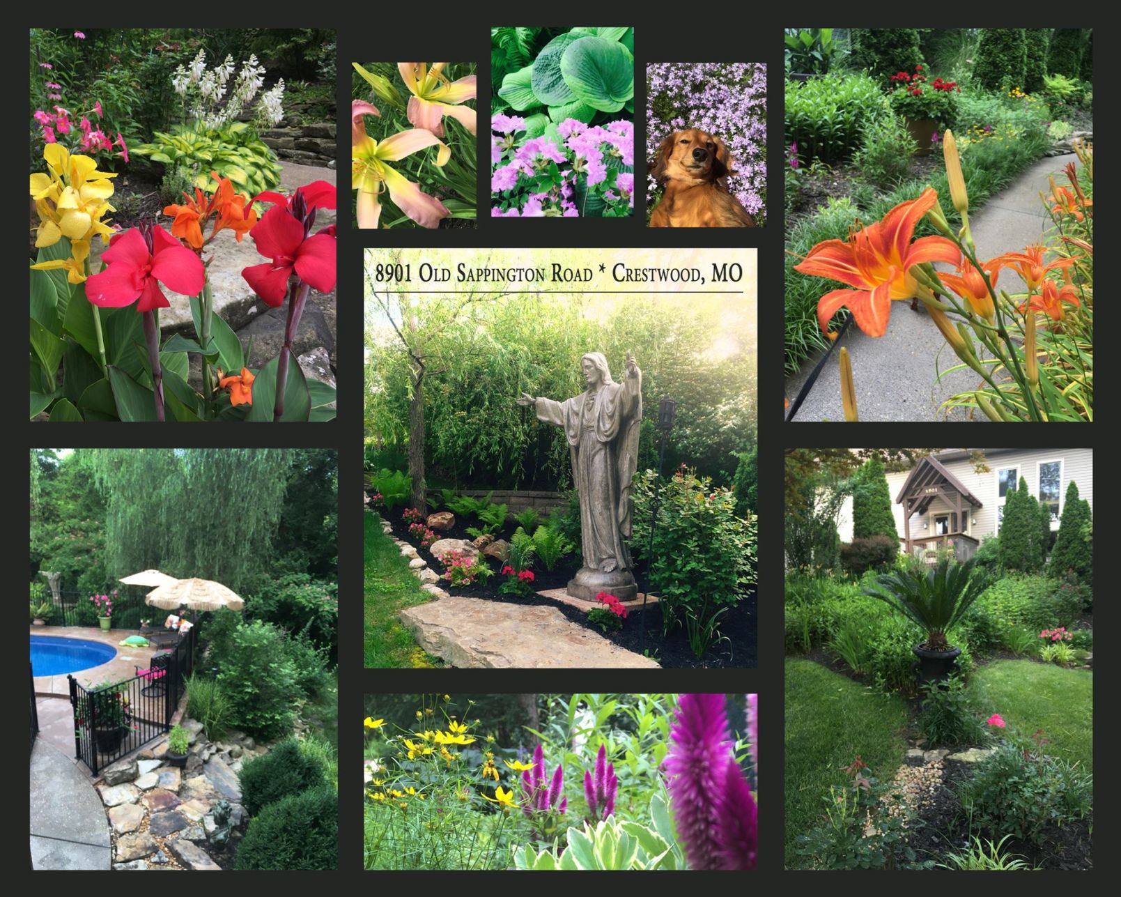 The 'JulieYard' Garden of Performing Plants